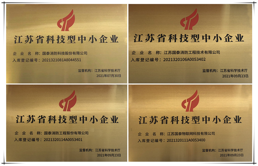 喜訊！國(guó)泰集團(tuán)下屬多家公司獲“科技型中小企業(yè)”認(rèn)定